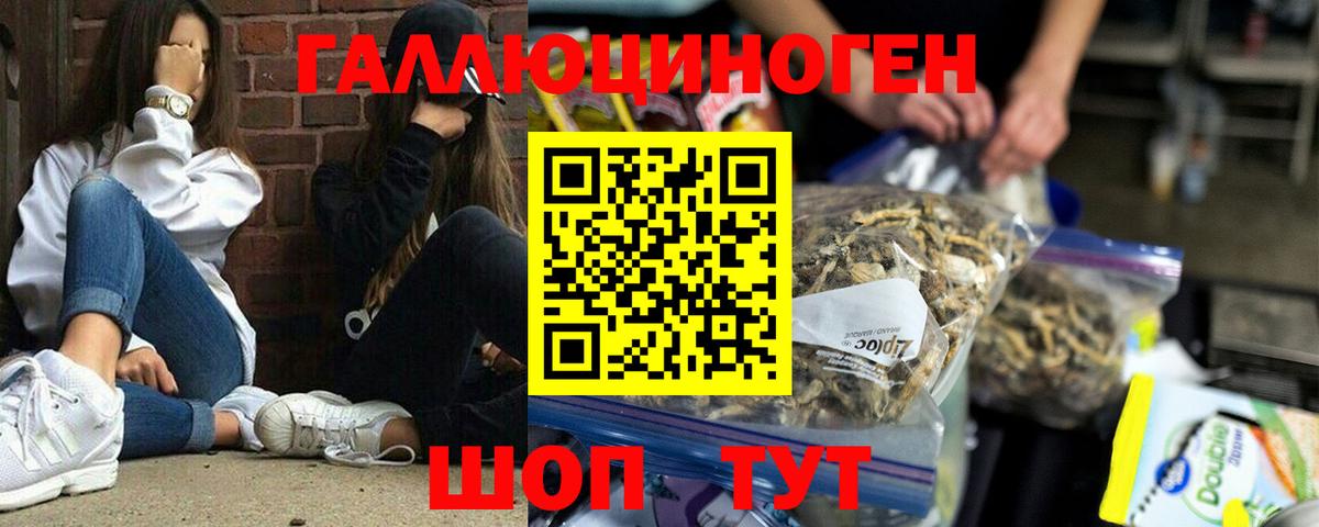 Псилоцибиновые грибы Psilocybine cubensis  Галлюциногенные грибы мухоморы  Кохма  Вход с VPN 