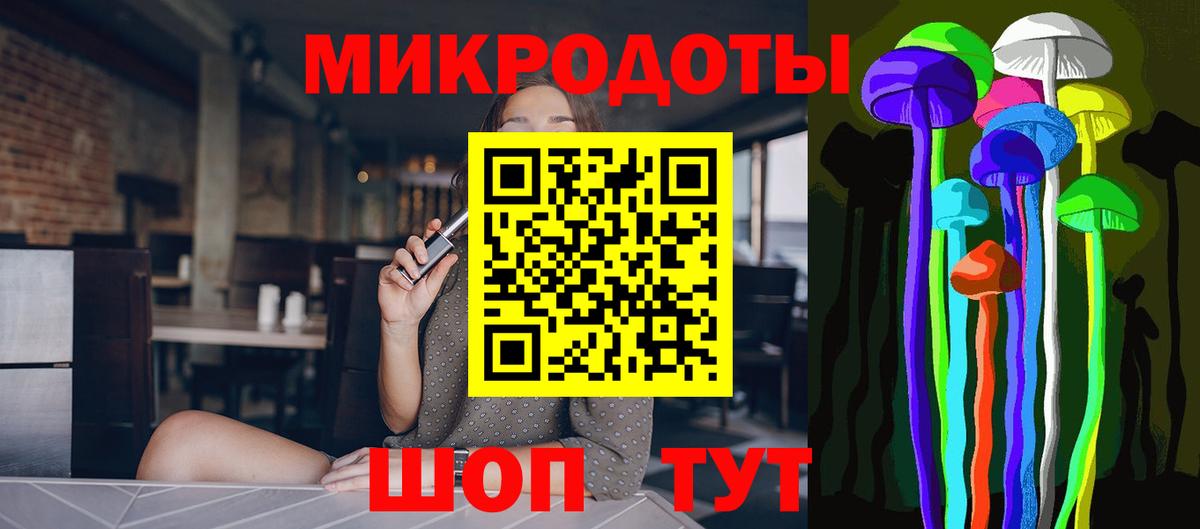 Псилоцибиновые грибы Psilocybe Кохма